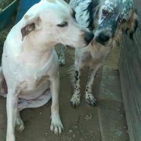 Penny, nel rifugio dal 2016 Foto 7